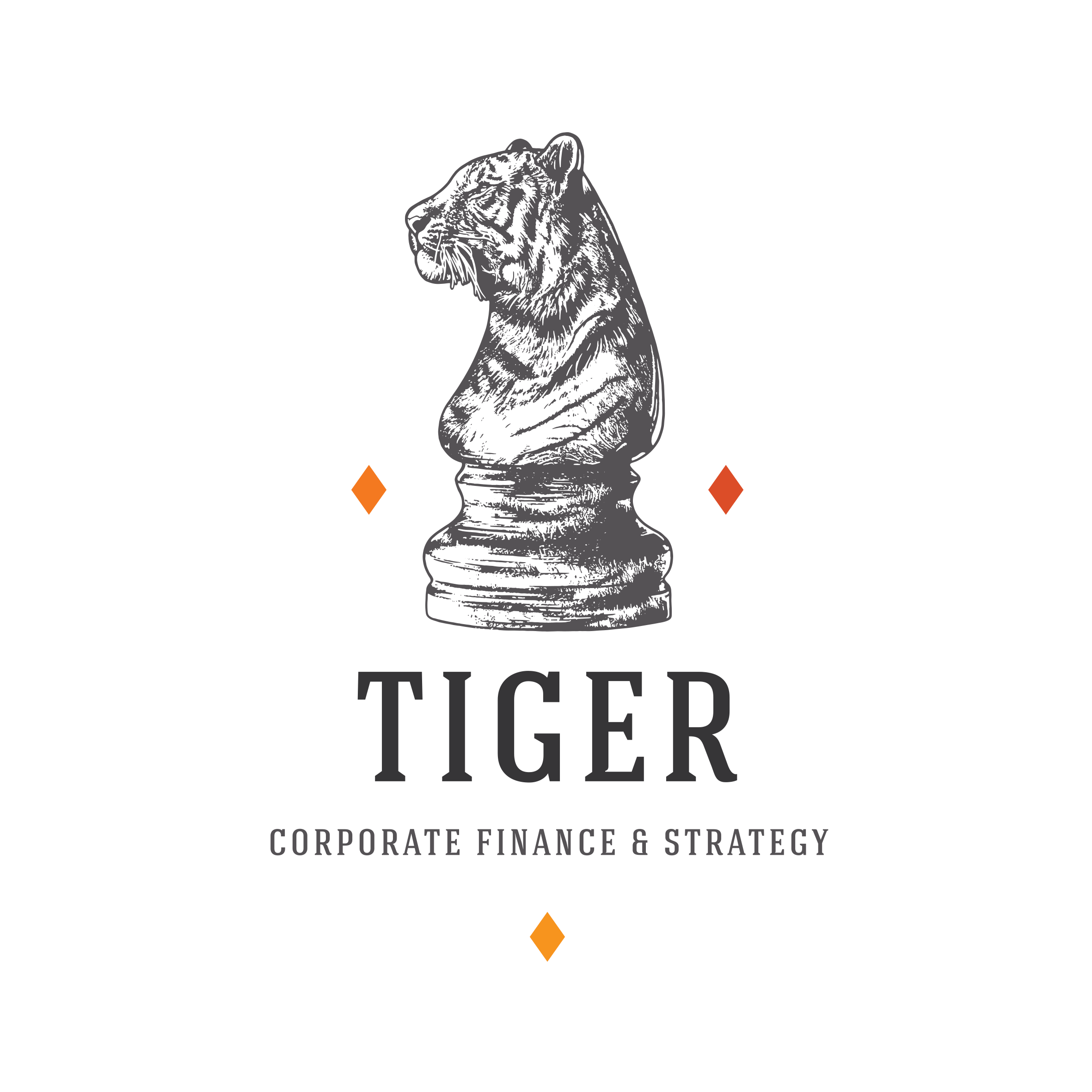 Logo Tiger Corporate Finance & Strategy